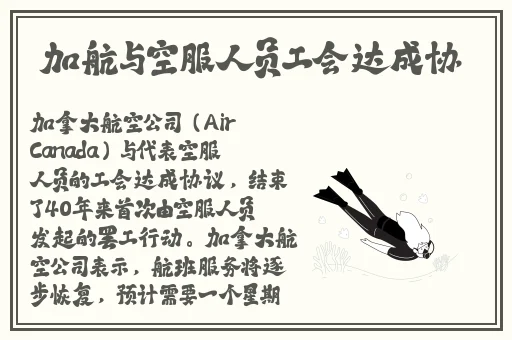 精品亚洲成a人在线看片